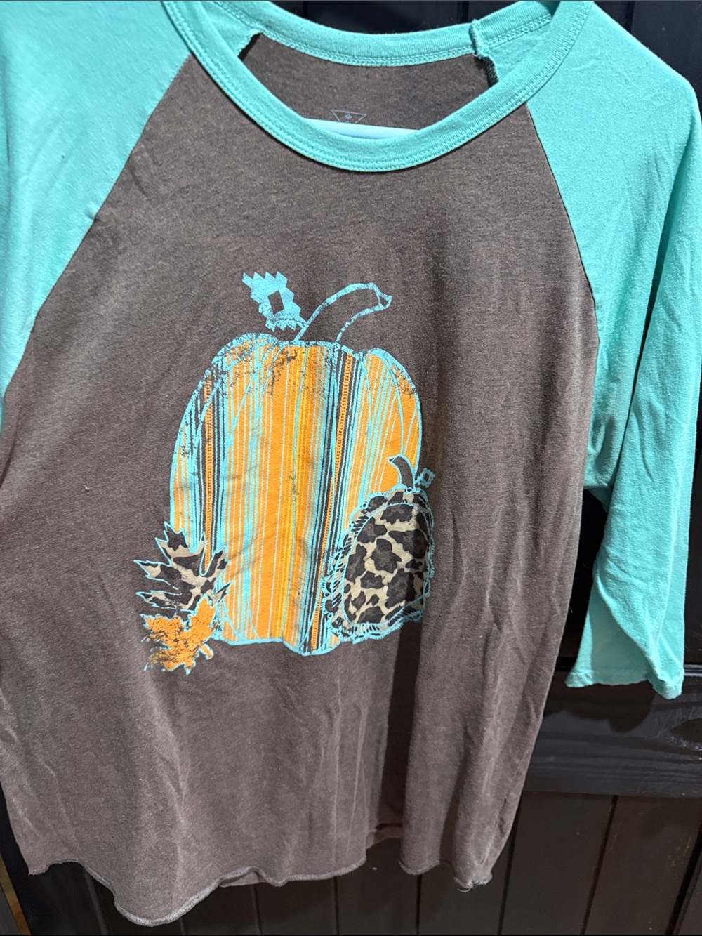Crazy Train Brown Raglan Top with Turquoise Sleeves and Pumpkin Graphic